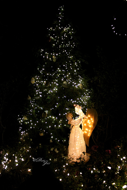 Angel at Elizabethan Gardens